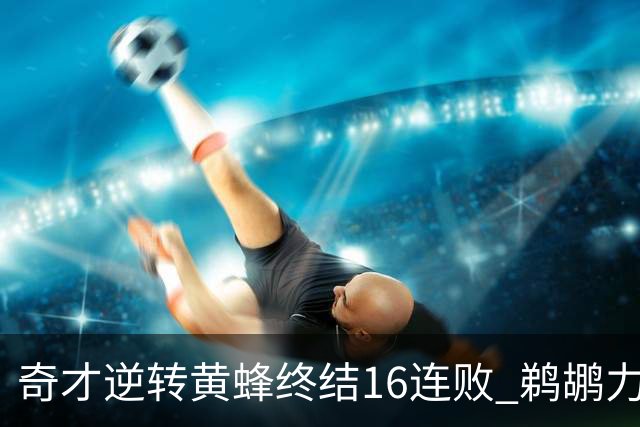 奇才逆转黄蜂终结16连败 鹈鹕力克76人3连胜